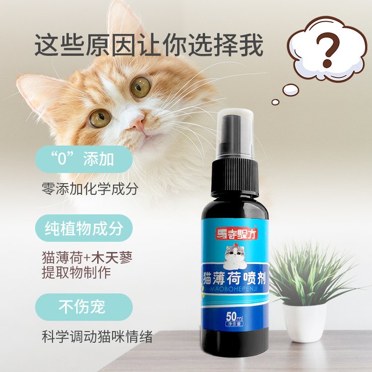 猫薄荷喷雾厂家批发逗猫自嗨成幼猫情绪舒缓剂薄荷草香喷剂贴牌