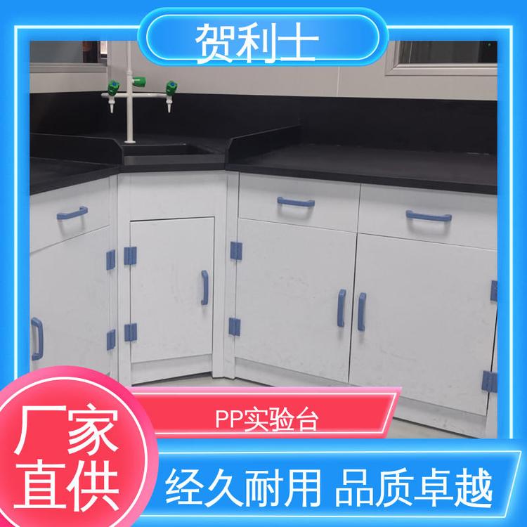 按需定制 PP化学实验台 pp化验台 食品药品生产研发 贺利士