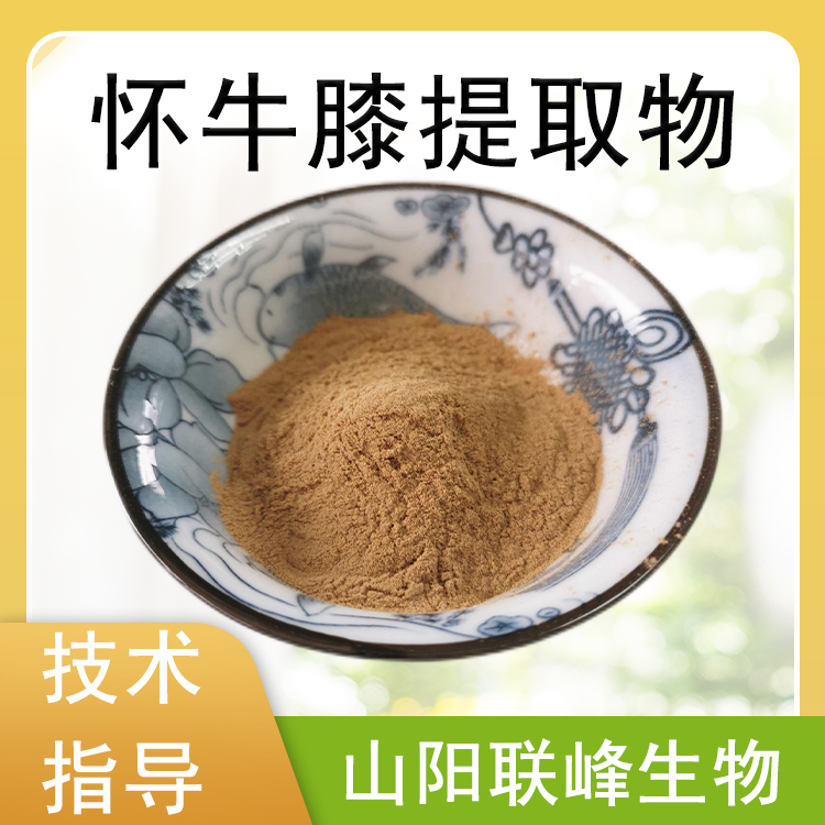 怀牛膝提取物 10：1萃取 牛膝多糖 牛膝粉 食品原料 可定制