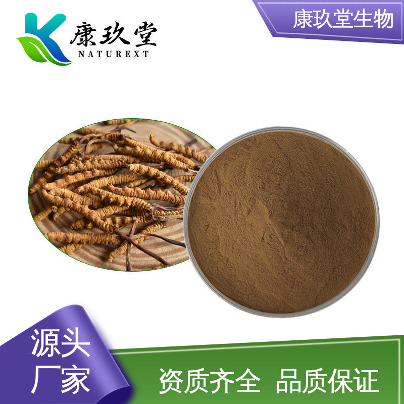 康玖堂 Cordyceps Extract 资质齐全 25公斤/桶 蛹虫草提取物