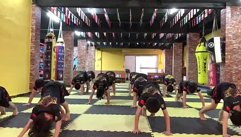 视频
