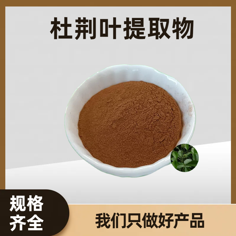 牡荆叶提取物 浓缩黄荆叶浸膏 午时草浓缩粉 可按需定制 食品级