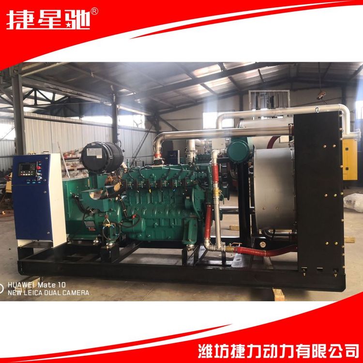 250KW 天然气 沼气 柴油 余热回收 静音 集装箱 操作方便 并网发电