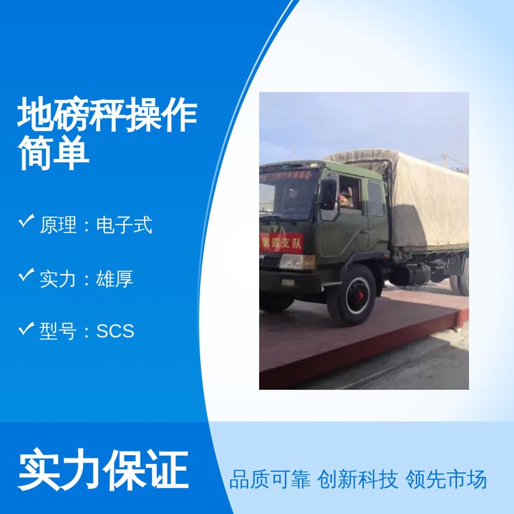 地磅秤操作简单 衡之杰电子式SCS型号 交直流两用