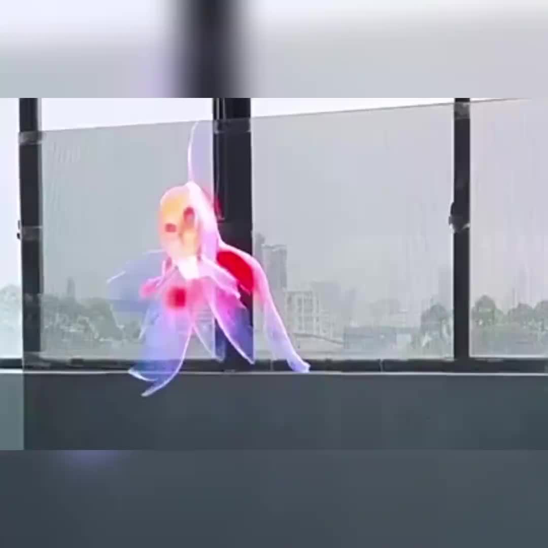 视频