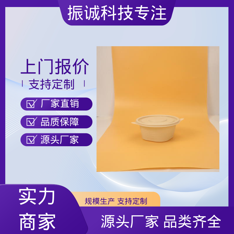 一次性餐盒 加厚 餐厅餐馆都能用 可冷藏 振诚科技