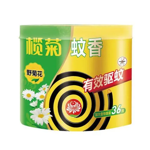 榄菊