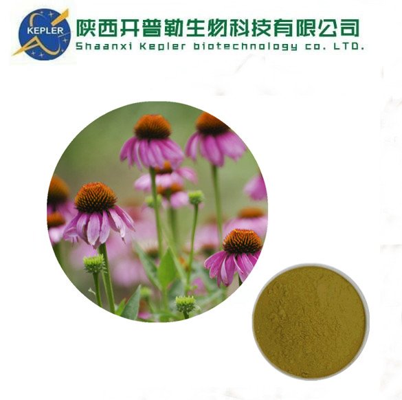 紫锥菊提取物 植物多酚 菊苣酸 TLC检测 HPLC 检测 开普勒生物