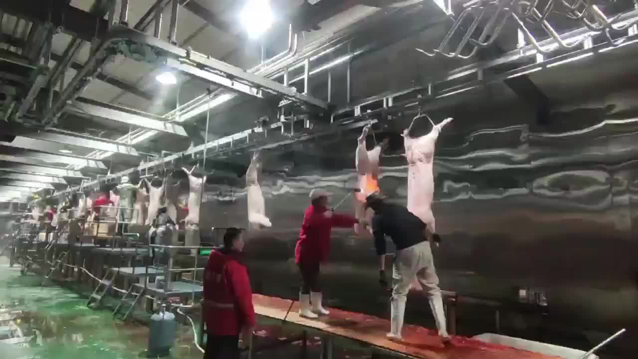视频
