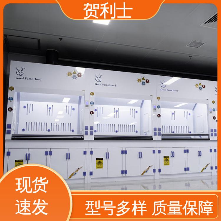 通风柜 防尘防静电 品类齐全 质量保障 抗冲击 贺利士