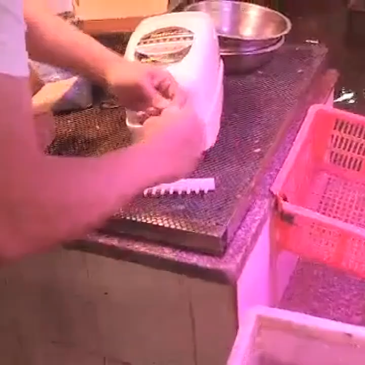 赛尔力霸增氧机卖鱼用 充电便携式氧气泵增养器 交直流两用增氧泵