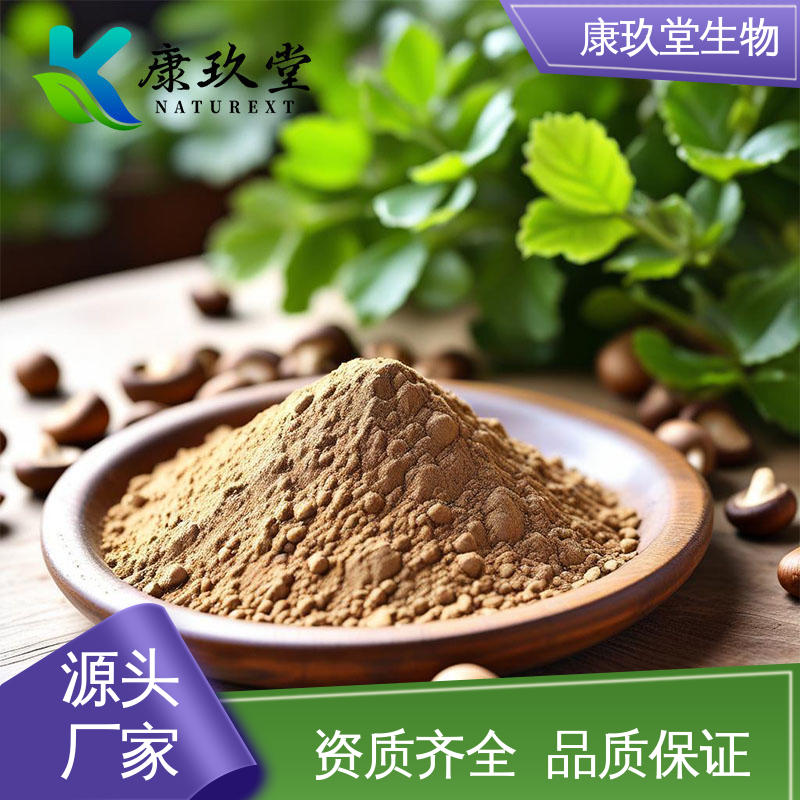 设备先进 植物提取物 Shiitake Mushroom Extract 25公斤/桶 康玖堂
