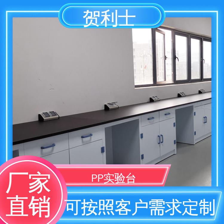 贺利士 耐酸碱实验家具 PP实验台柜 适用于医疗卫生 按需定制