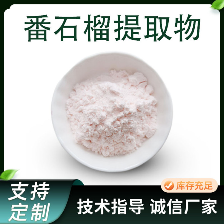番石榴果粉 植物提取物 芭乐浓缩速溶粉 固体饮料原料