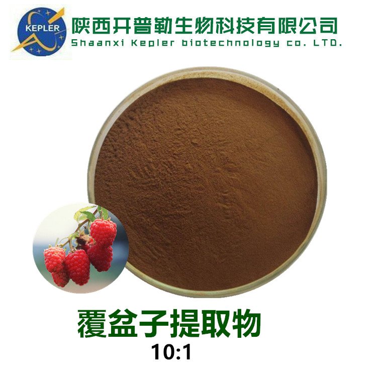 覆盆子提取物 10：1覆盆子粉 树莓水溶性纯粉 覆盆子酮