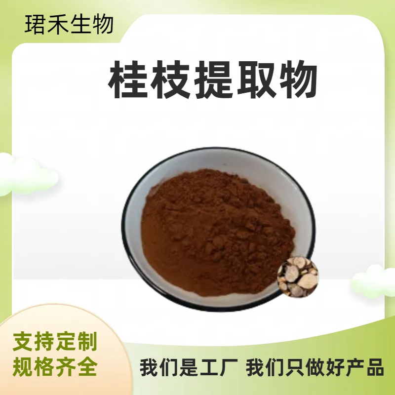 桂枝提取物10:1 食品级桂枝粉 喷雾干燥技术 水溶粉/浸膏