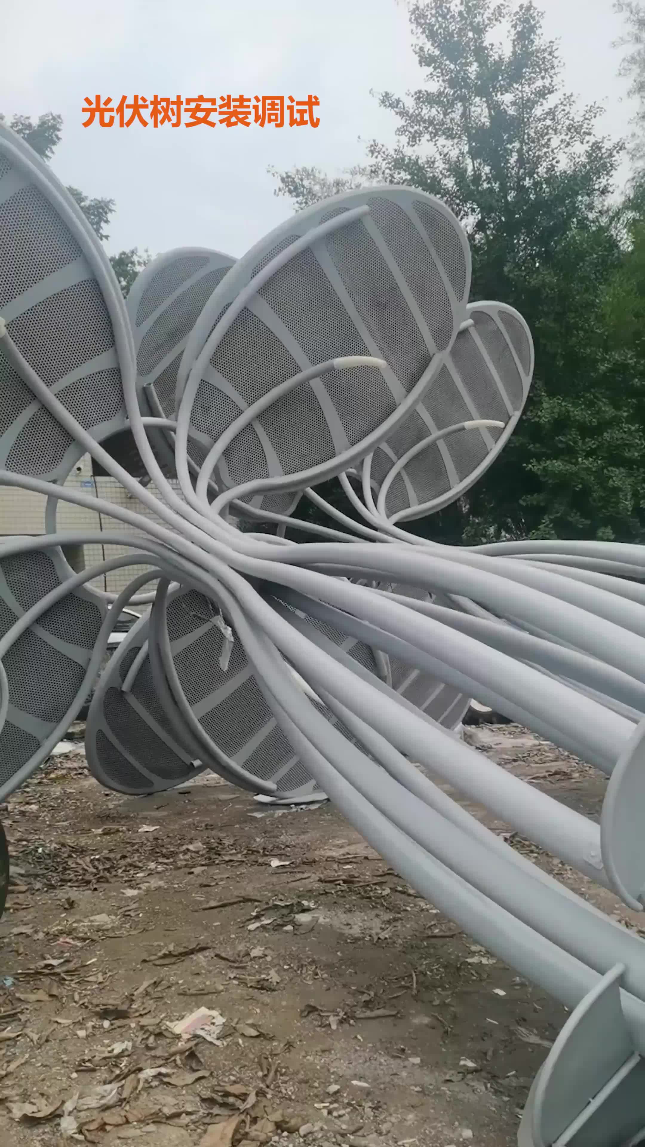 视频