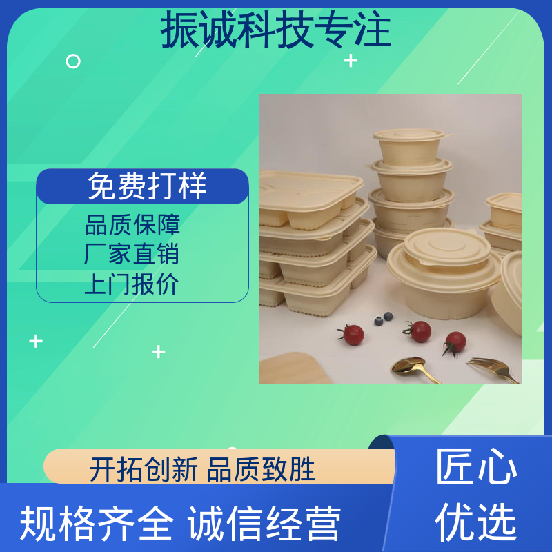 振诚科技 一荤两素套餐碗 符合限塑标准餐盒 可微波炉加热 带盖