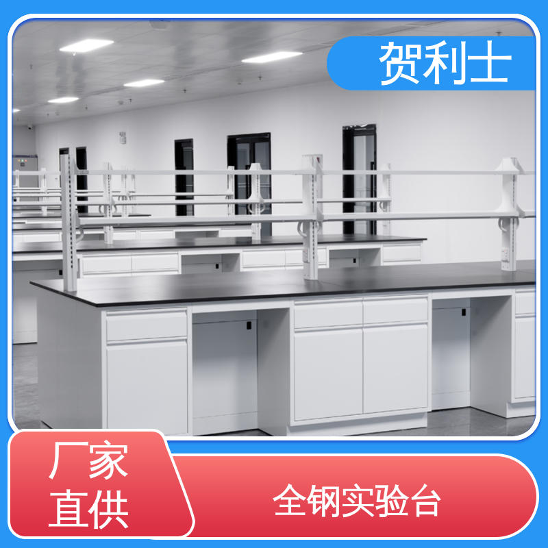 贺利士 耐高温 全钢中央工作实验台 建设用 规格齐全支持定制