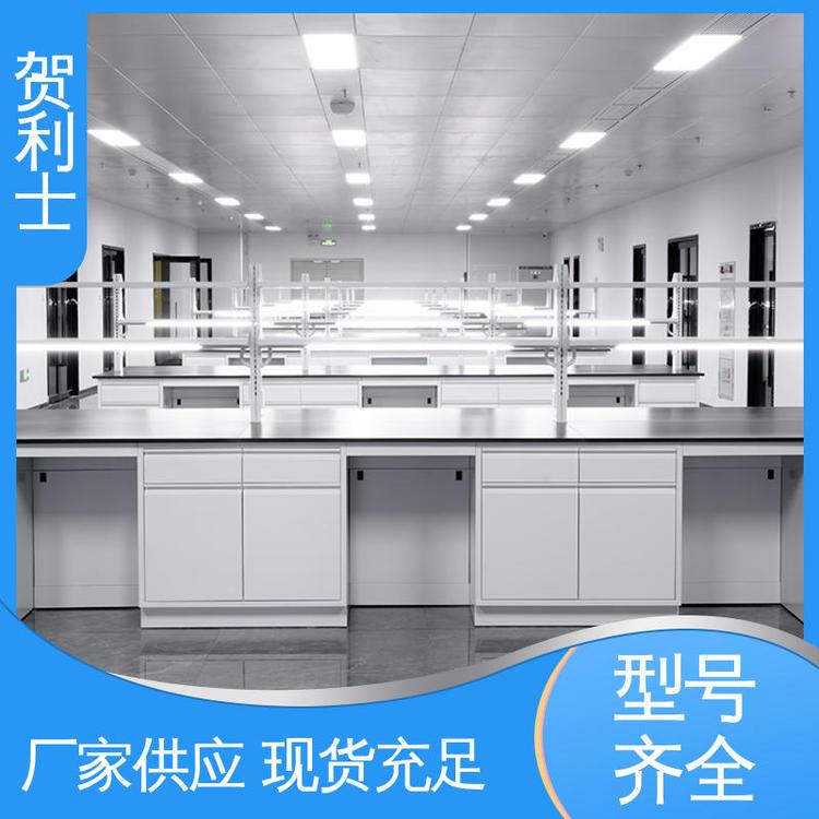 贺利士 耐火 适用于医疗卫生 品类齐全 质量保障 全钢实验室台