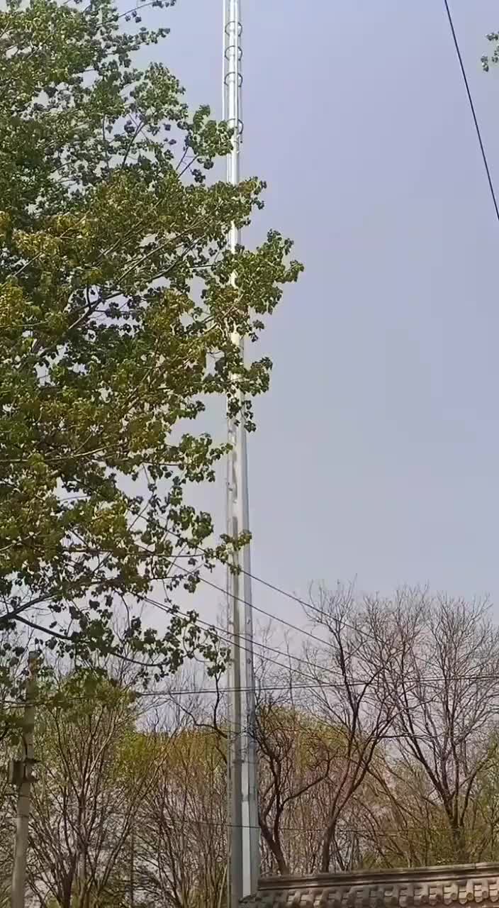 视频