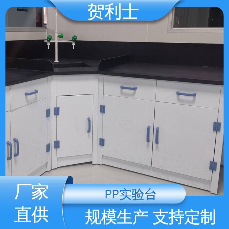 贺利士 pp研发室工作台 化学PP实验台 适用有机实验室 按需定制
