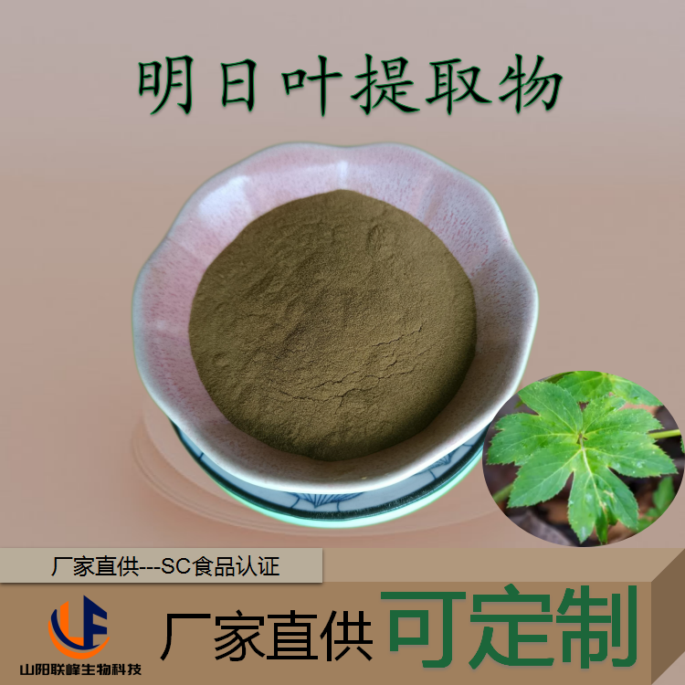 新资源食品原料 明日叶提取物 速溶比例浓缩粉 10:1 八仗草粉 2kg 起批
