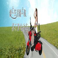 葆石捷电动车
