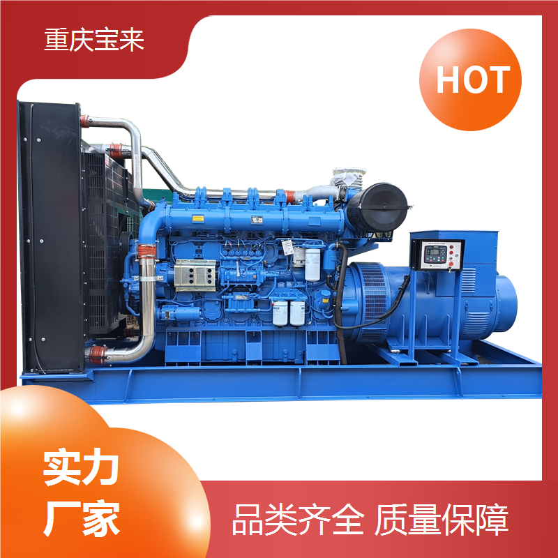 柴油发电机出租 应急备用电源 工厂养殖生产用 宝来 一站式服务