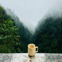 守一轩茶叶