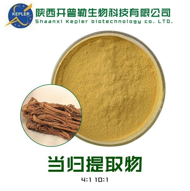 当归提取物 中药材保健食品 当归浓缩粉 蒿本内酯1%