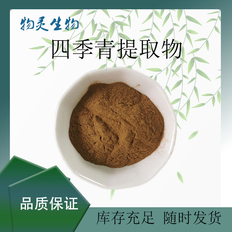 四季青提取物 水溶四季青粉 10:1比例浓缩 多种规格 喷雾干燥
