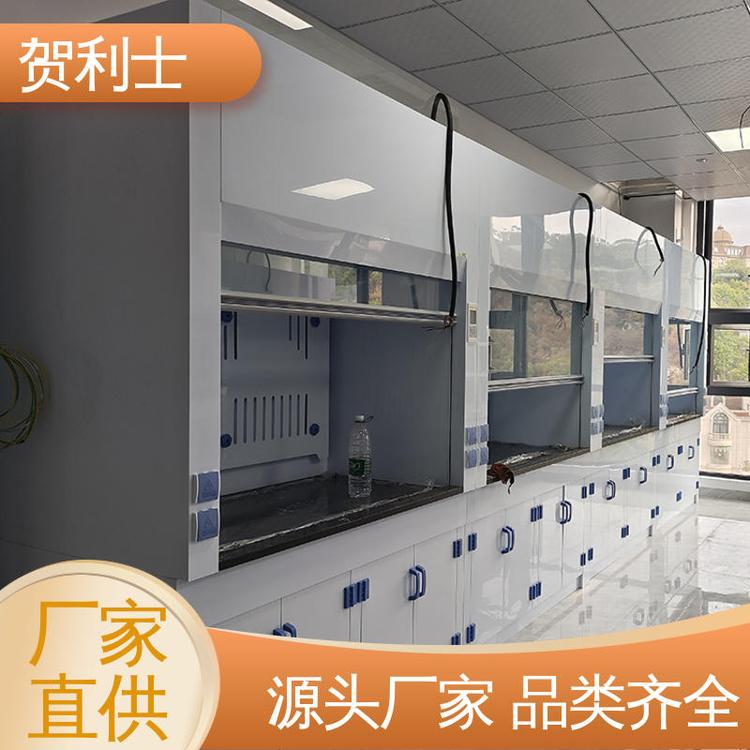 贺利士 坚固 净气型通风柜 防尘防静电 匠心优选 多年经验