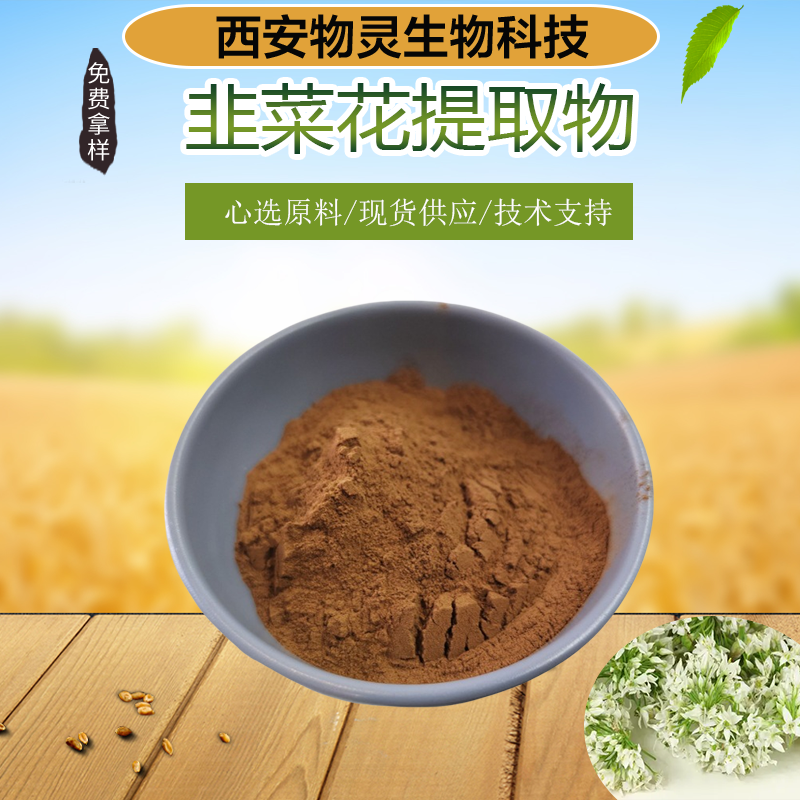 韭菜花提取物 10:1 比例规格 韭菜花浓缩粉 水溶性好 物灵生物 SC资质