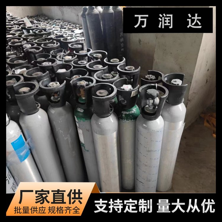 标准气体生产厂家 湖 北荆州 10升标气 按需定制 万润达 g