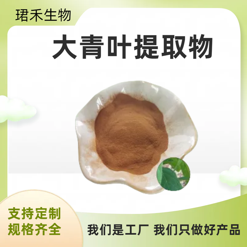 大青叶提取物 水溶性粉末菘蓝浓缩粉 含黄酮 食品级原料 可定制
