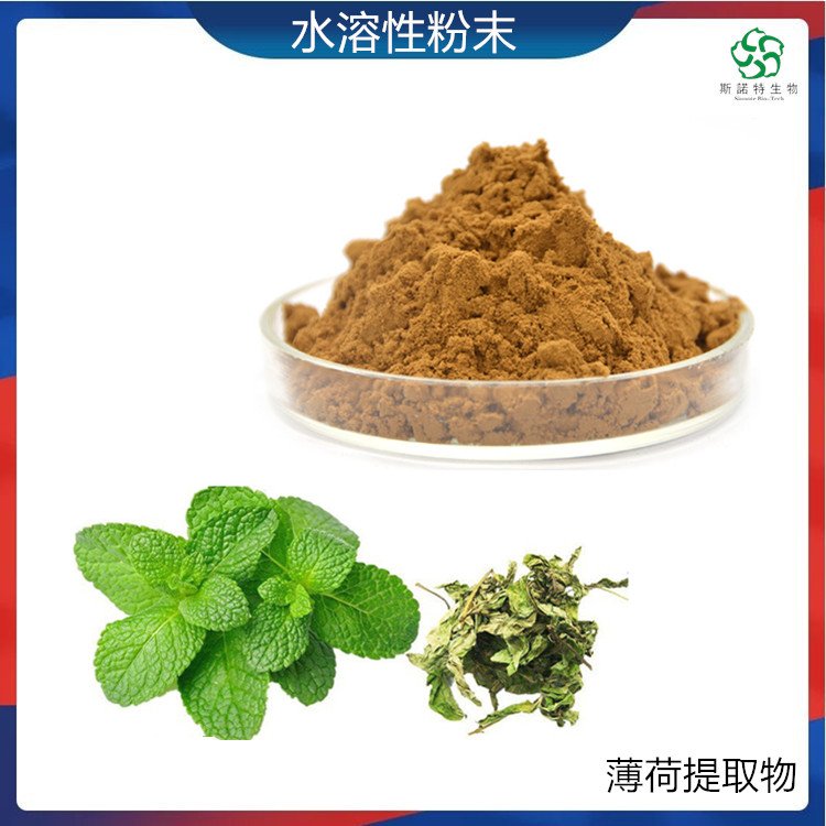 薄荷提取物 水溶性粉末 Mentha Haplocalyx Briq Extract