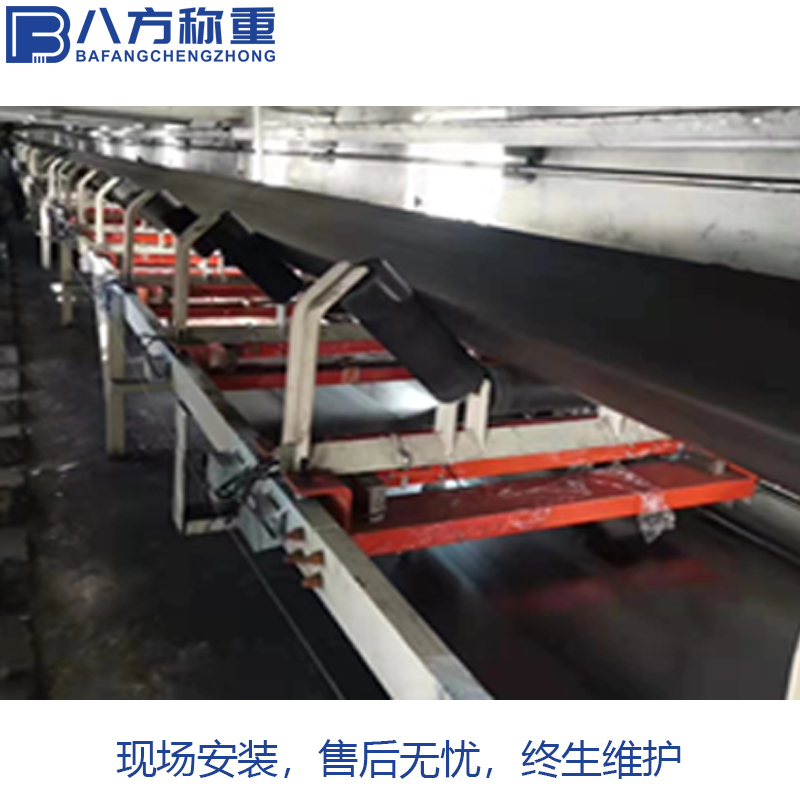 八方称重 不锈钢电子计量秤 高精度自动输煤皮带秤 运行平稳终生维护
