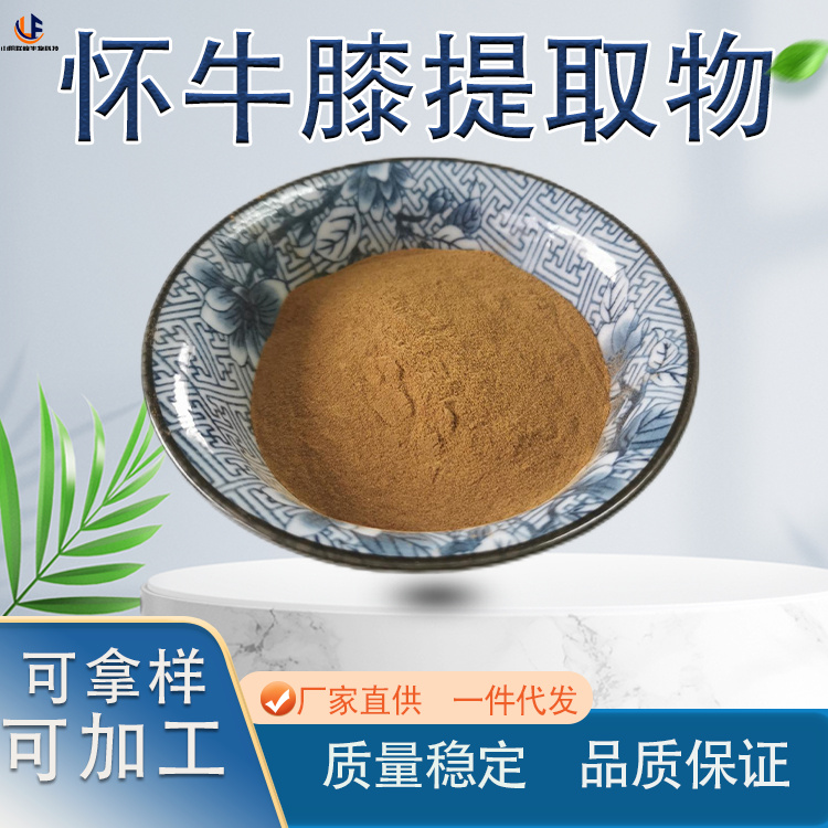 怀牛膝提取物 植物萃取 水提工艺 多规格可选 棕黄色粉末 厂家1kg起批