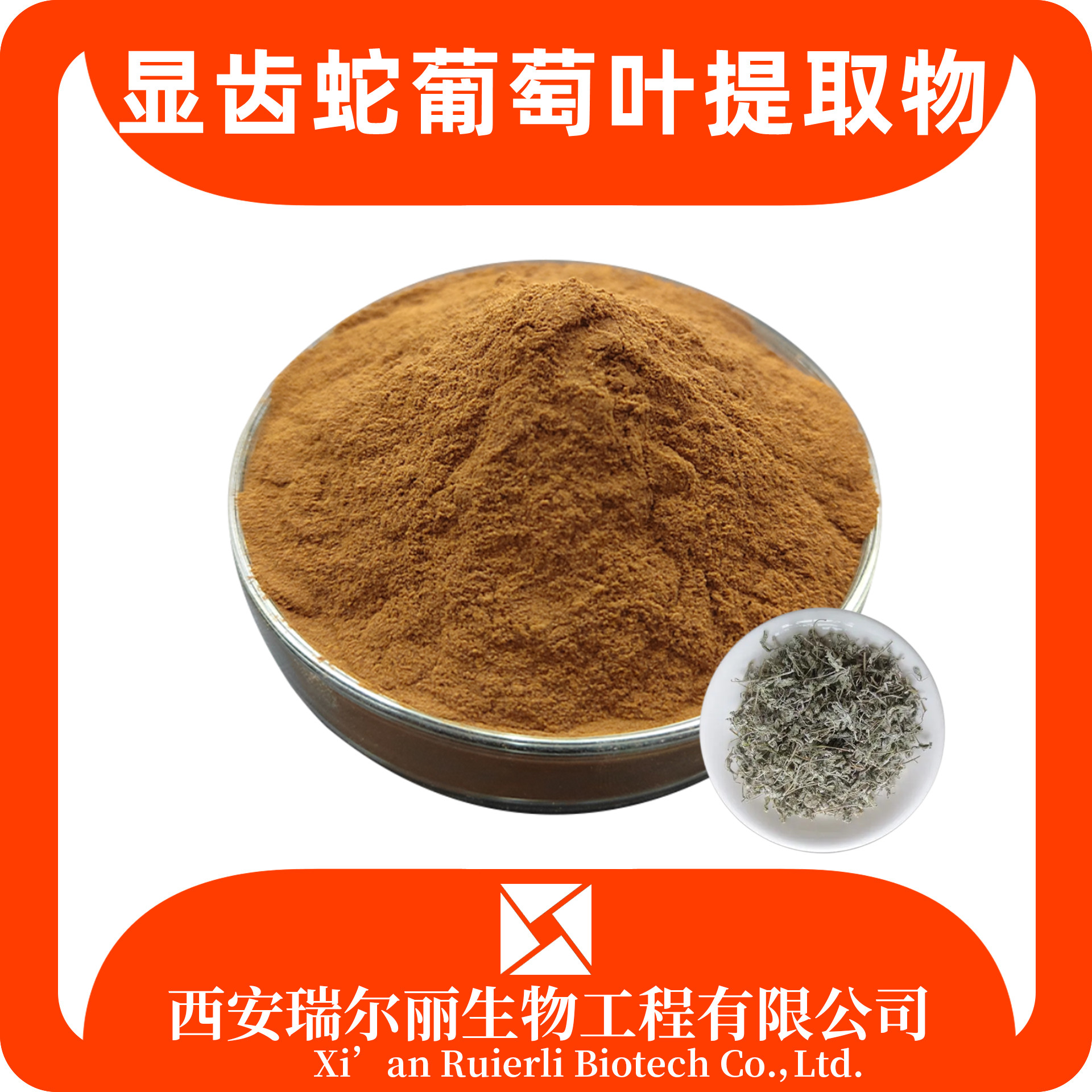 显齿蛇葡萄叶提取物10：1显茶浸膏 显茶粉 速溶浓缩粉 源头厂家