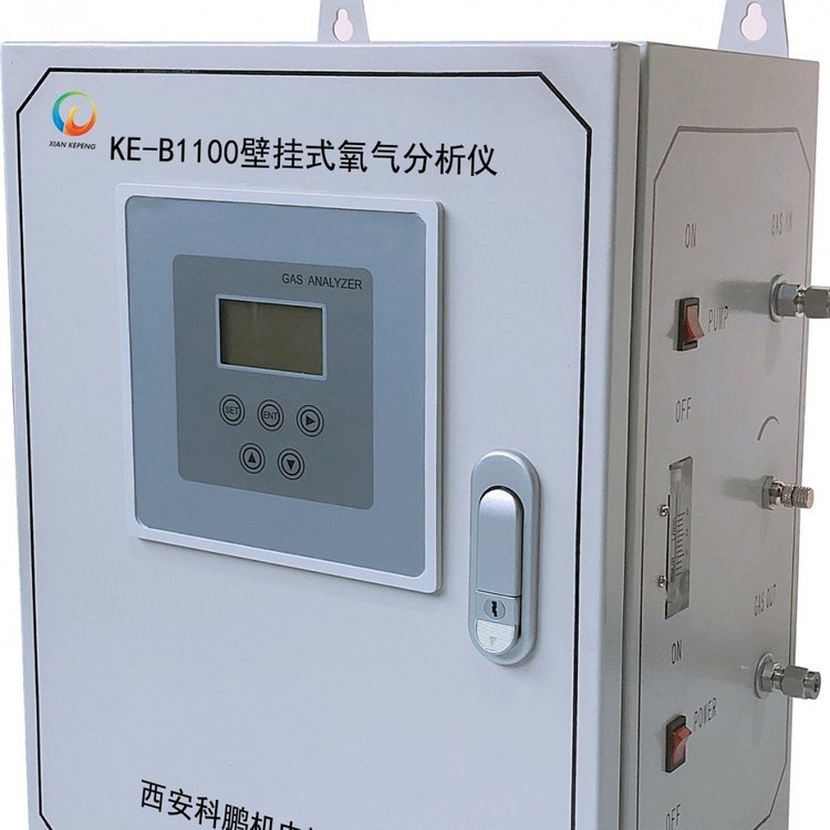 KE-B1100壁挂式氧气分析仪 科鹏 智能化工业级气体分析仪