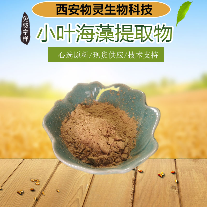 小叶海藻提取物 含含海藻多糖 浓缩萃取原料 食品级 喷雾干燥工艺