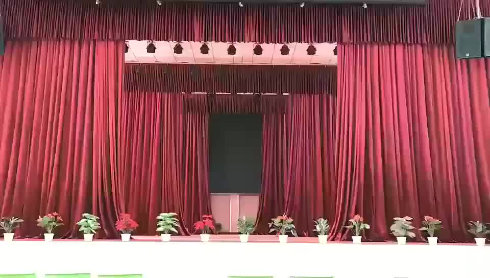视频